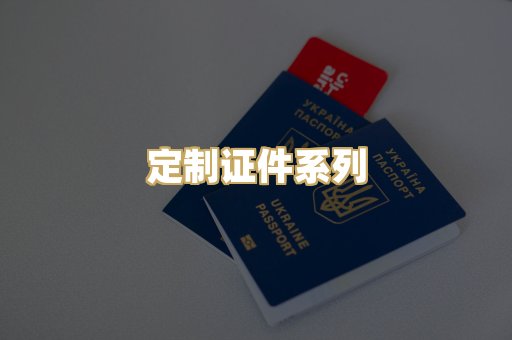定制证件系列